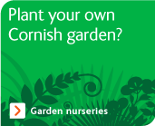 Plant your own Cornish garden
