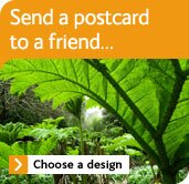 Send a postcard to a friend...